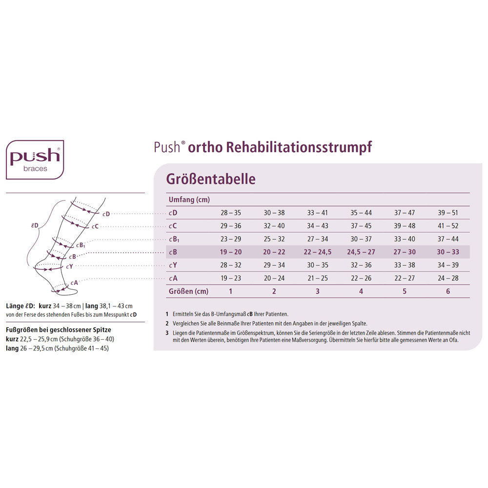 Ofa Push Ortho Rehabilitationsstrümpfe CCL1 AD kurz (34-38 cm)
