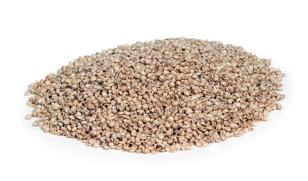 Sissel® Panicore Hirsekissen